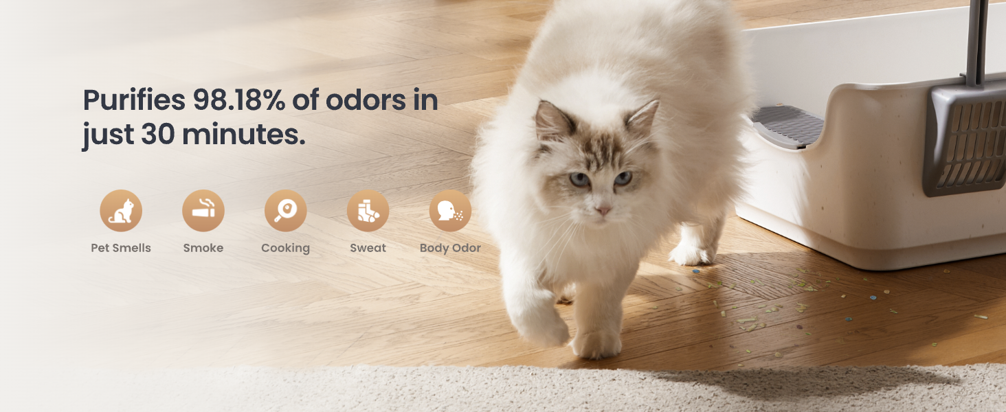 air purifier