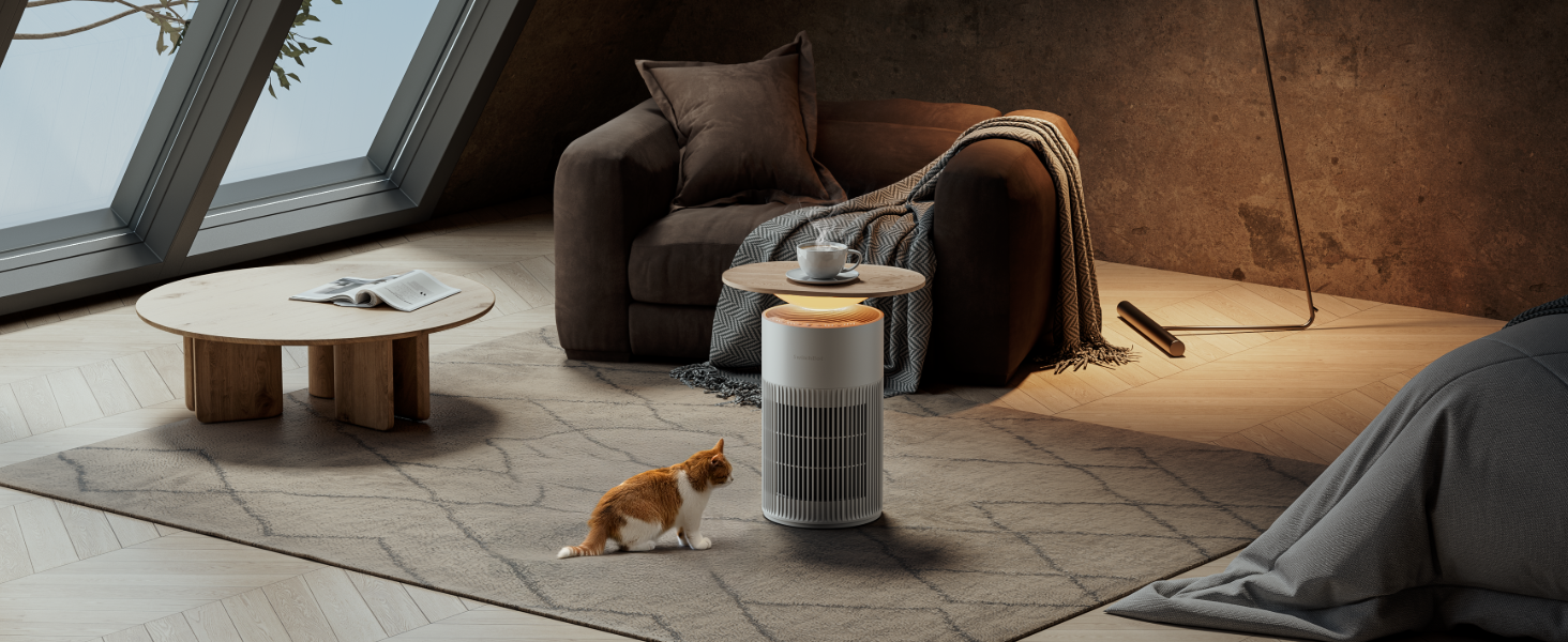 Air Purifier table