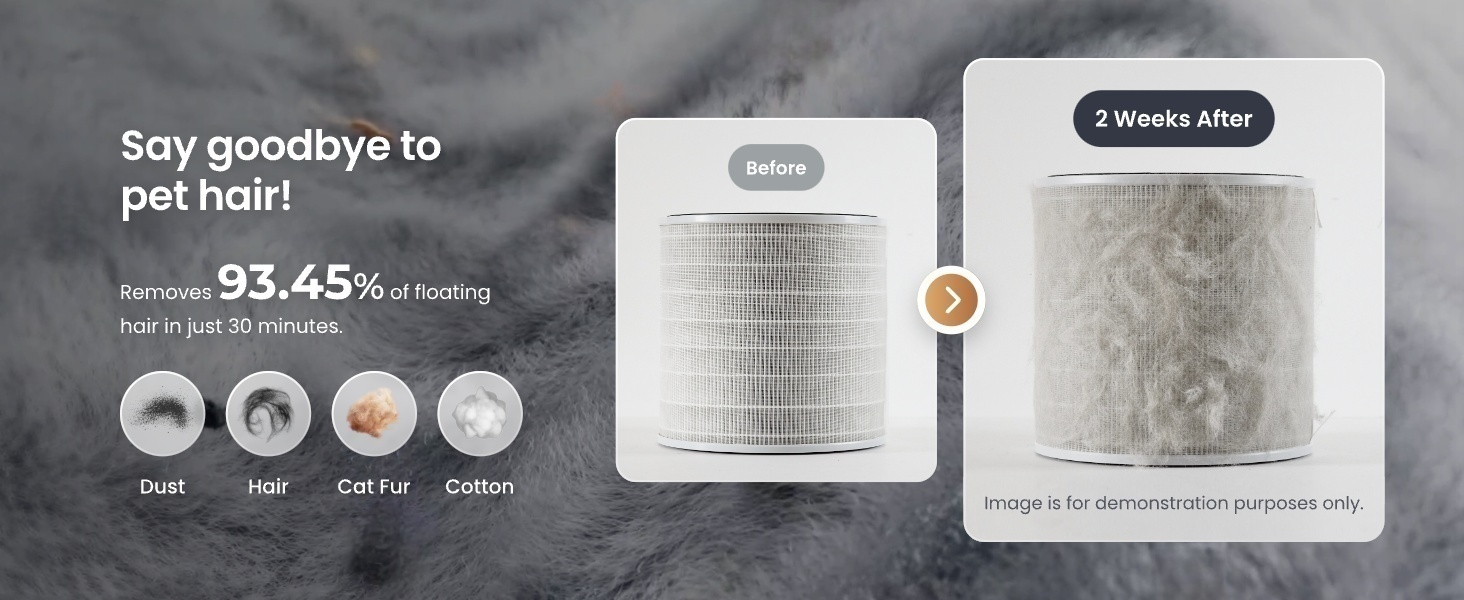 air purifier