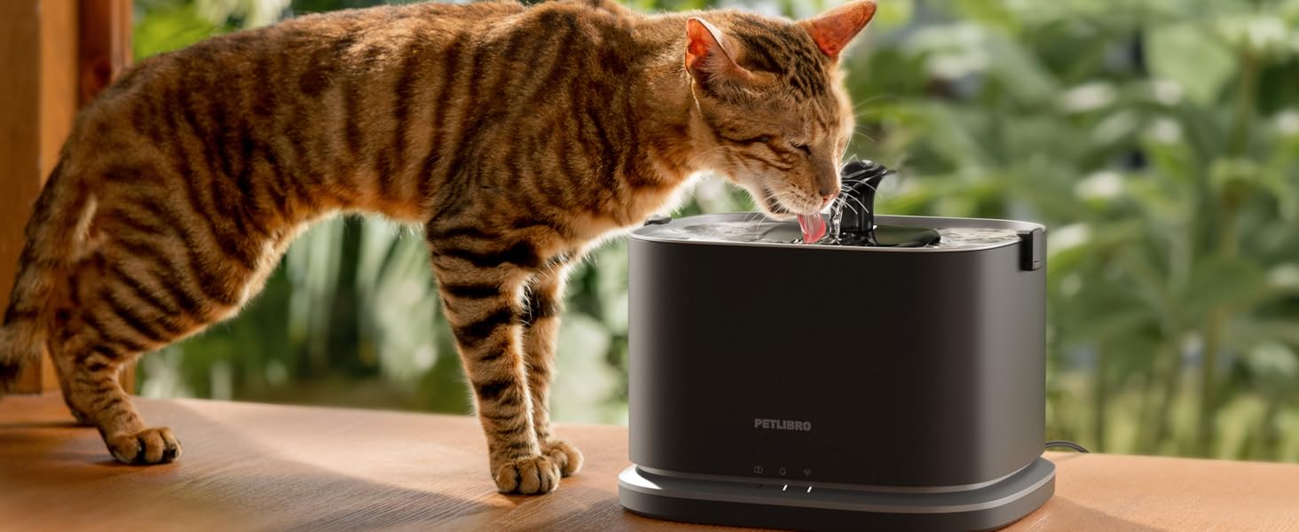 Dockstream 2 cat water fountain